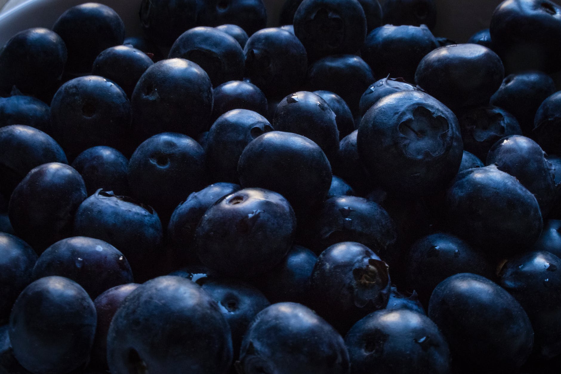 closeup photo of blueberries