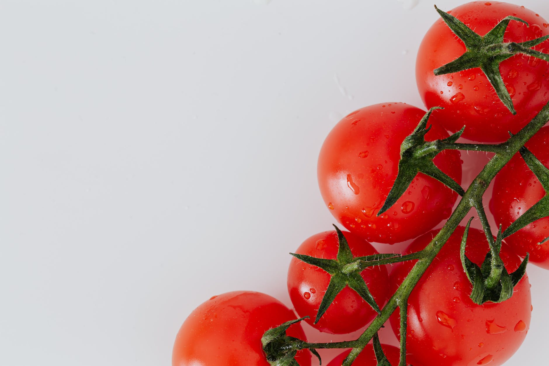 ripe red tomatoes on white surface